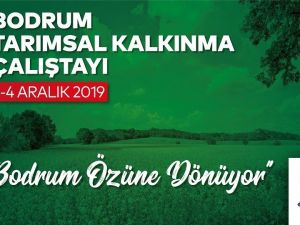 Bodrum turizm ve tarımı buluşturuyor