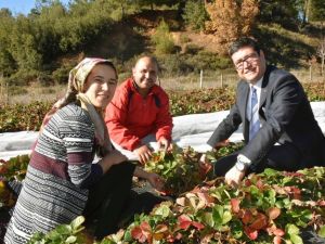 Saylak çiftçi ziyaretlerine başladı