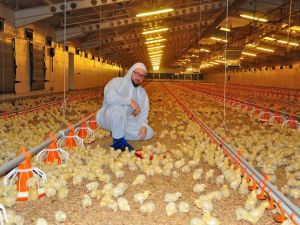 Gazetede gördü, devlet desteğiyle milyonluk tesis sahibi oldu