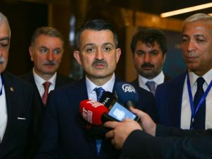 Bakanı Pakdemirli’den tek tip sigara paketi açıklaması