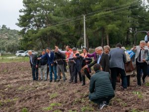 Bodrum’da ata tohumları geleceğe serpildi