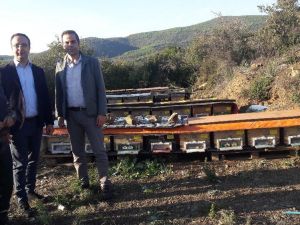 İŞKUR’un desteğiyle kovanlarını dolduruyor