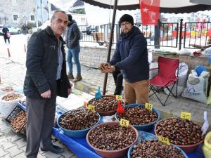 Simav kestanesine ilgi