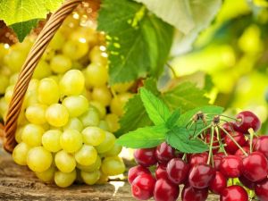 Yaş meyve sebze ihracatçıları hedef pazarlarını belirledi