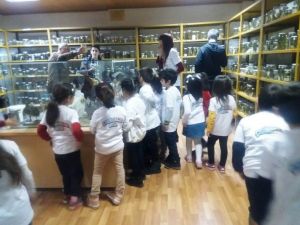 Minik öğrenciler sürüngenleri inceledi