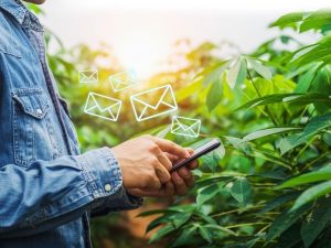 TARSİM SMS bilgi hattı numarası değişti