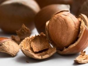 Ordu’da fındık fabrikası icralık oldu