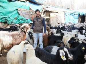 Feci olaydan sonra hayatı normale döndü