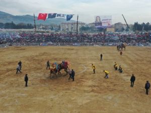 Başkan Çerçioğlu devesi ’Topuklu Efe’nin güreşini merakla izledi