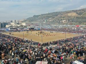 Deve güreşi festivali binlerce Aydınlıyı bir araya getirdi