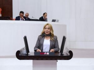 MHP’li Esin Kara’dan Bakan Pakdemirli’ye soru önergesi