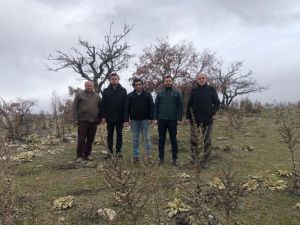 Bakan Pekcan müjdeyi vermişti, 34 firma başvuru yaptı