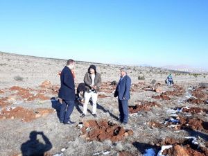 Altıntaş’ta alternatif ürün yetiştiriciliği