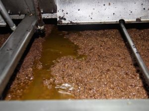 Zeytinyağı kalitesi için 24 saat çalışıyorlar