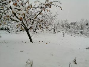 Turgutlu’da 15 okul kar yağışı nedeniyle tatil