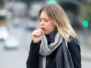 "Ayva yaprağı çayı için öksürüğü unutun"