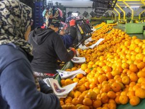 2019’da gıda ve tarımda öne çıkanlar