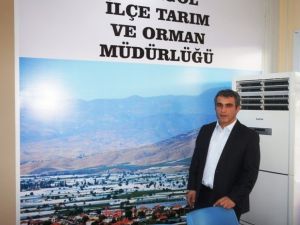 Sarıgöl üzümünün yüzde 80’i ihraç edildi