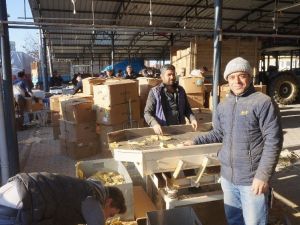 Sarıgöl’de tütün alımları başladı