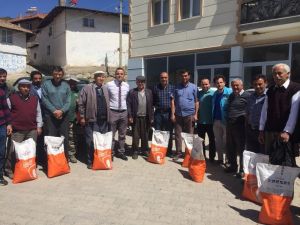 Yem bitkisi ekimine tohum desteği