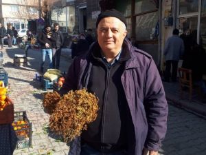 Kantaron otu pazar tezgahlarında da satılıyor