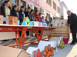 Atık malzemeler sokak hayvanları için kulübe oldu