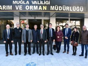Muğla’da meralarda hayvan otlatma ücretleri düşürüldü