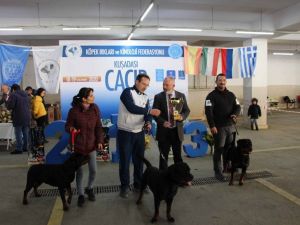 Köpek ırkları yarışması sona erdi