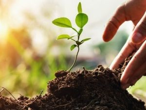 Avustralya yangını Türkiye’deki mobilya sektörünü harekete geçirdi