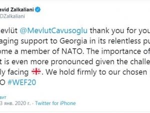 Gürcistan Dışişleri Bakanı, Çavuşoğlu’na teşekkür etti