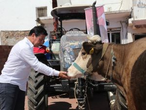 Bodrum’da alım garantili üretim için ilk adım atıldı