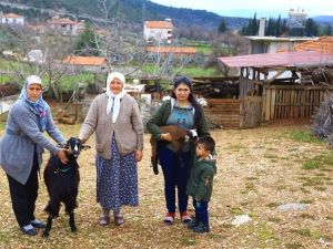 Kadınlara kıl keçisi desteklemesi meyvesini veriyor