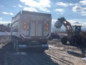 Tarımın yükselen yıldızı Aslanapa’da silajlık mısır tüm Türkiye’ye satılıyor