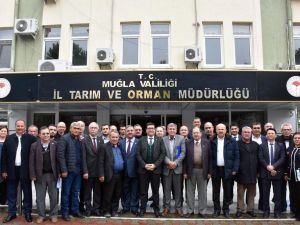 Muğla tarımı masaya yatırıldı