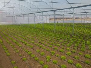 Kütahya’da 74 projeye 8 milyon TL hibe desteği