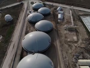 1 yılda tam 7 milyon 580 bin dolar kazandırdı