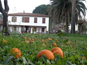 Kuşadası EKODOSD’dan Yavaş Şehir Yenipazar’a ziyaret