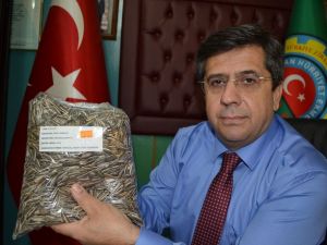 Ay çekirdeği üreticileri çıkan haberlerden dertli