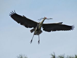 EKODOSD’dan sakin şehir Yenipazar’a ekoturizm gezisi