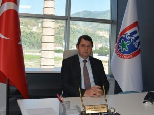 Başkan Tuna; “Türkiye’de 320 bin aile geçimini zeytincilikten sağlıyor”