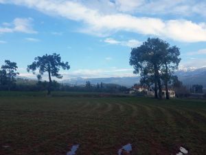 İpekböcekçiliği Muğla’da hayat buluyor