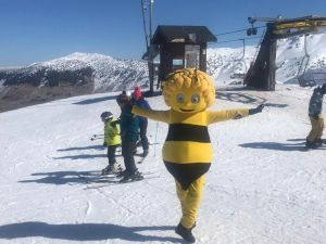 Arı Maya kostümüyle snowbord yapıp, Davraz kayak merkezini tek başına tanıttı