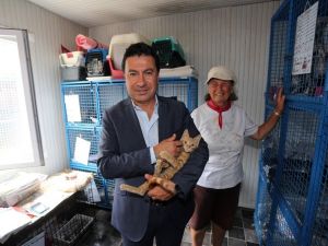 Bodrum’daki 20 klinik 3 ay ücretsiz hizmet verecek