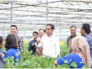 Viskoz suni ipek üretim tesisi 1,1 milyar dolar yatırımla hizmete alındı