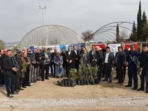 Yunusemre’den üreticiye fidan desteği