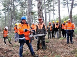 Kütahya’da daha kaliteli orman için tatbikat