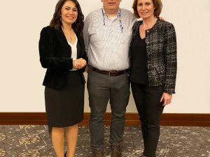 Propolisin virüsler üzerindeki etkisi