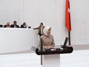 AK Parti MKYK Üyesi ve Erzurum Milletvekili Zehra Taşkesenlioğlu Ban, TBMM genel kurulunda konuştu