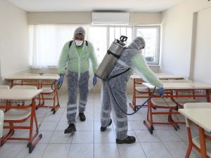 Efeler dezenfekte ediliyor