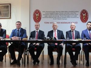 TVHB Başkanı Eroğlu: "Evcil hayvanların korona virüsü yayabileceğine dair bir kanıt bulunmamıştır”